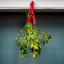 Mistletoe & Snowflake