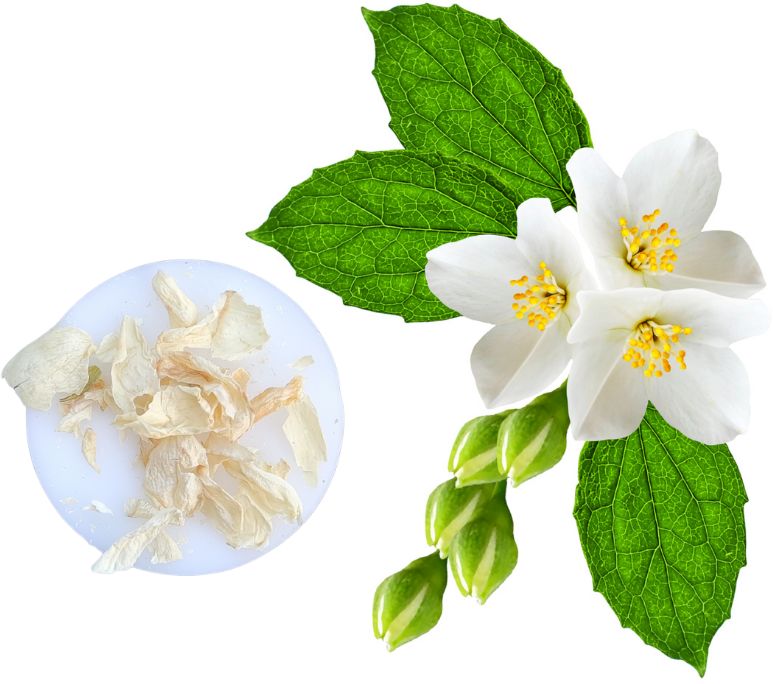 Pick 'n Mix Handmade Wax Melts