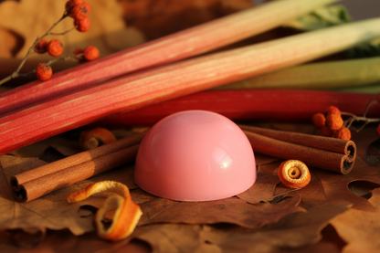 Wild rhubarb and cinnamon themed background with a pink themed semi sphere wax melt